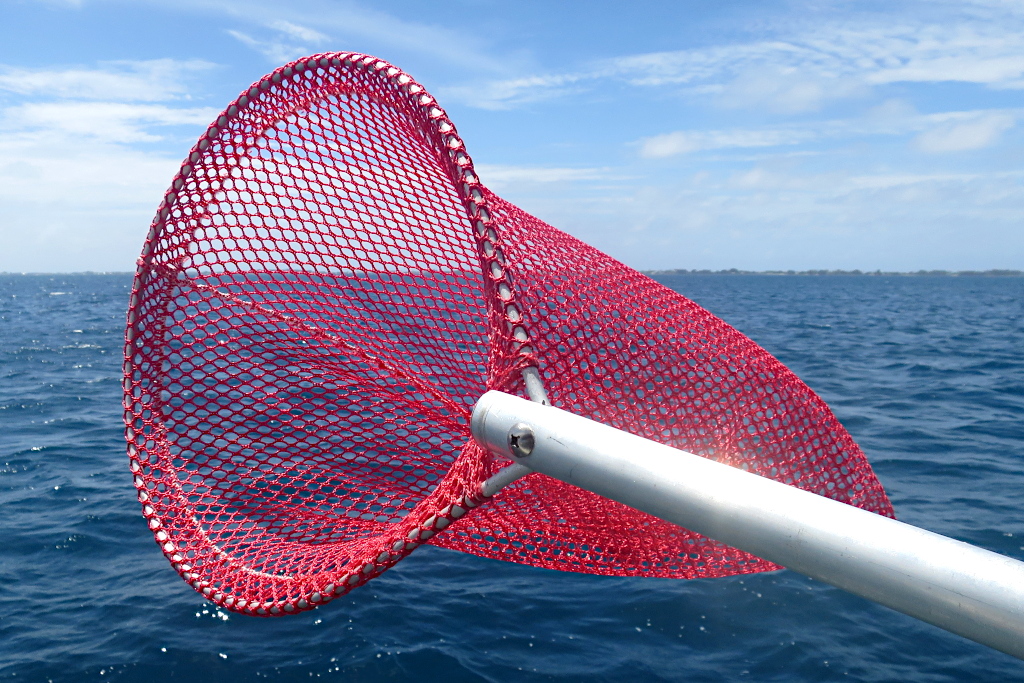 釣り用タモの作り方【釣れた魚を確実に船上まで取り込む為の自作網】