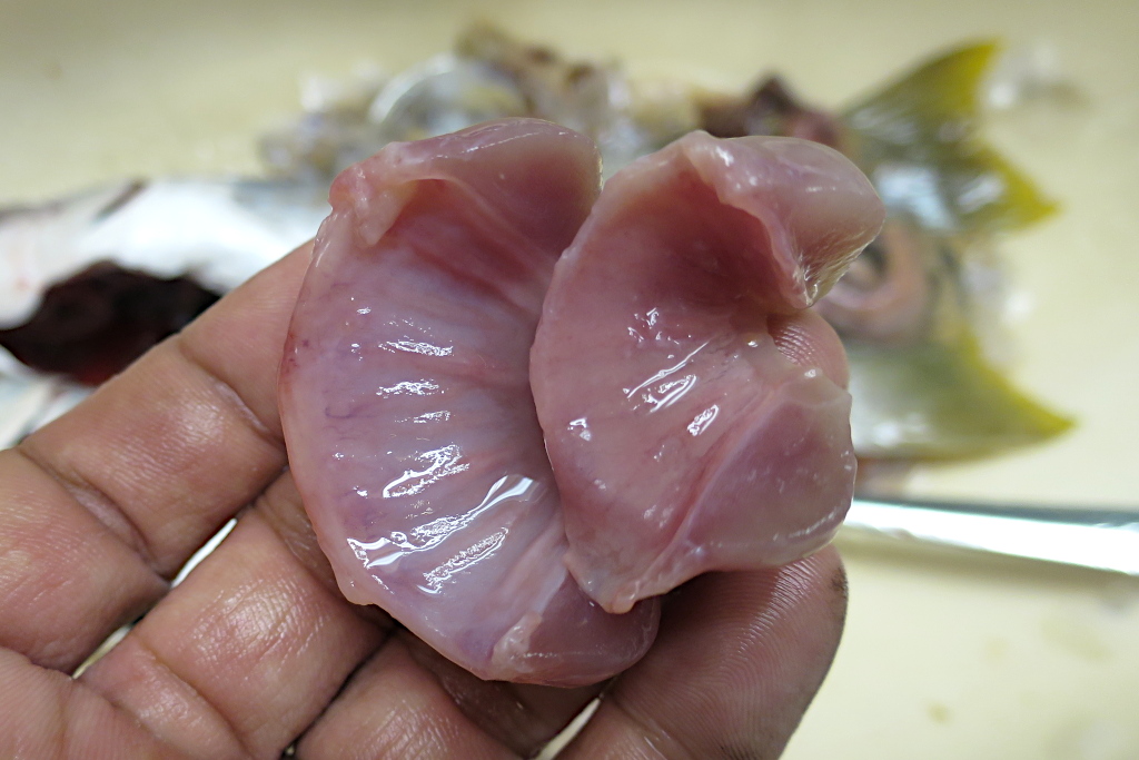 【オニボラのヘソ】ボラの内臓にある生食可能な丸い珍味